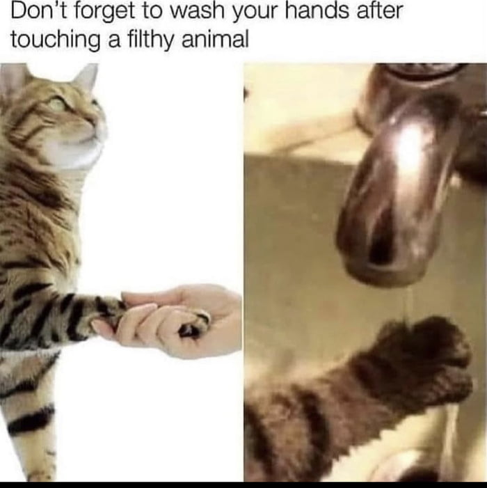 You Naughty Boy 9GAG