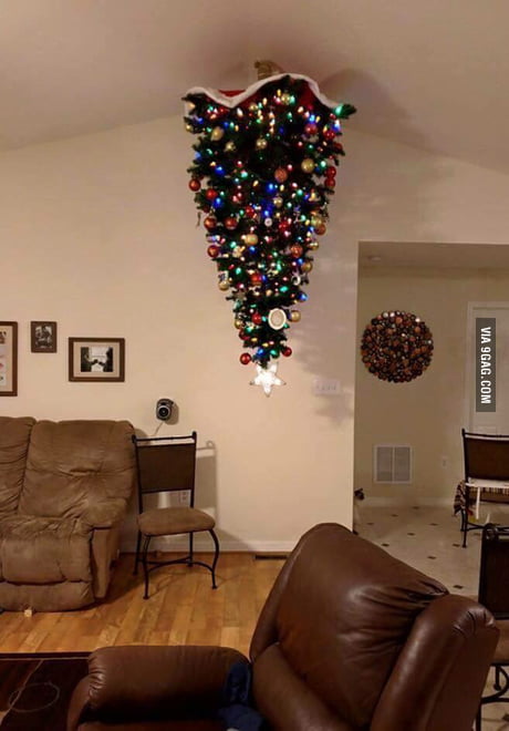 Special Christmas tree for cat owners 9GAG