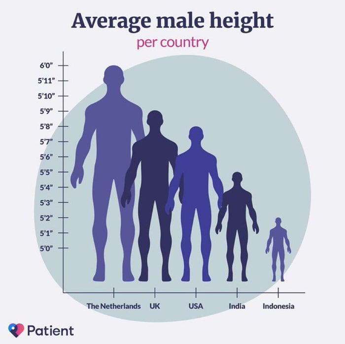 Average male height 9GAG