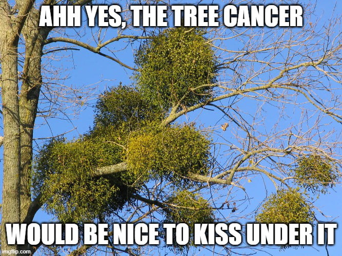 Some MF In The Middle Ages Be Like 9GAG some-mf-in-the-middle-ages-be-like-9gag