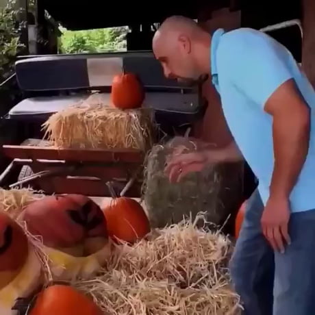 So this is a pumpkin…