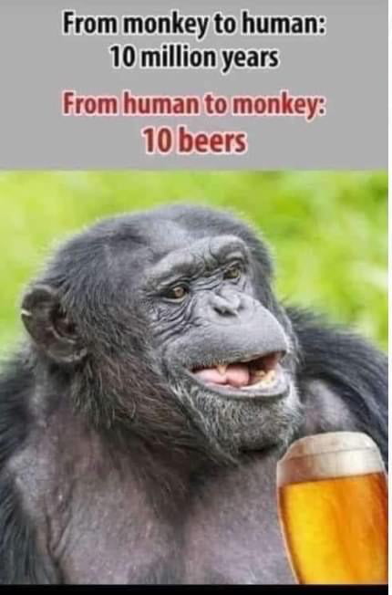 Monkey vs human