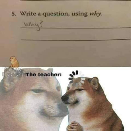 Dank Doge Memes