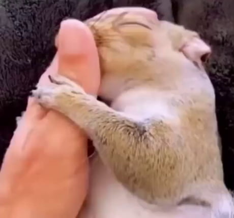 How I hold onto Sunday, knowing Monday is coming