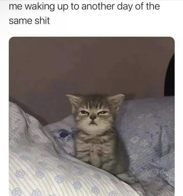 Same shit different day - 9GAG