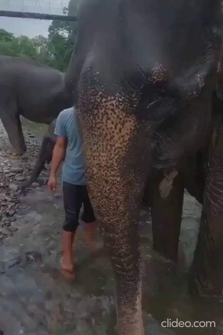 Intrusive thoughts won