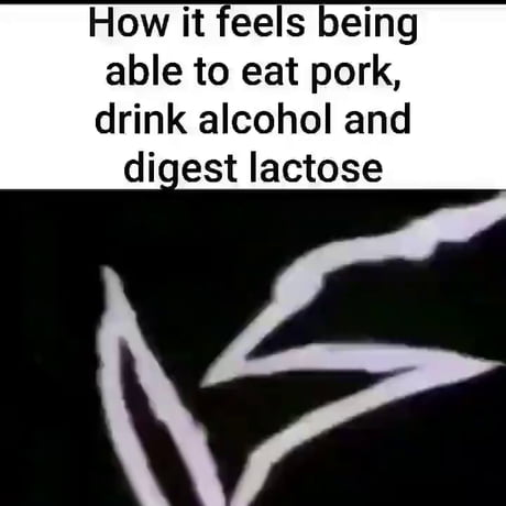 Eat pork, Digest lactose