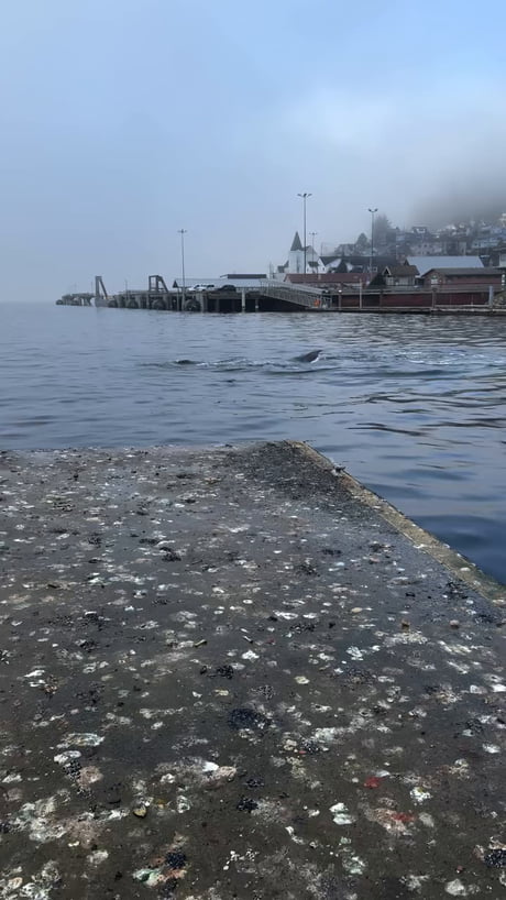 The woman’s noise vs the guys “well, that was pretty cool”