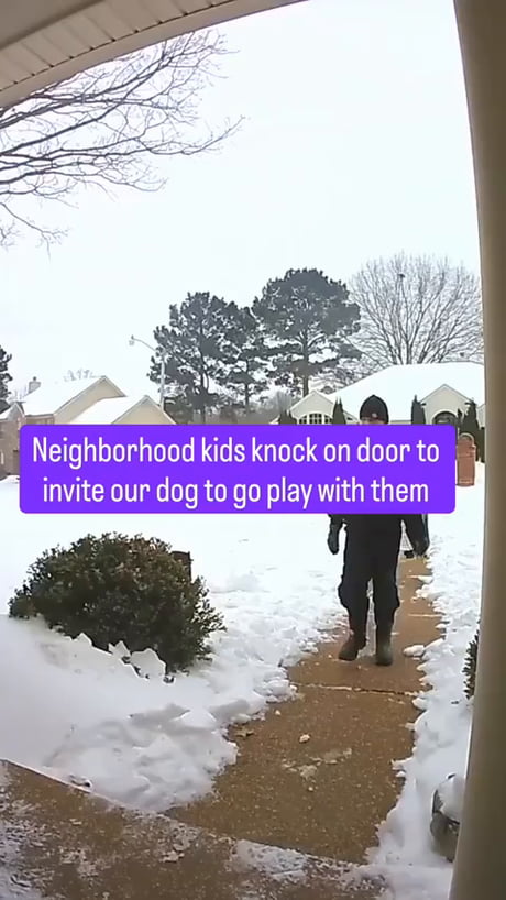 Inviting the neighbour's dog to go play.
