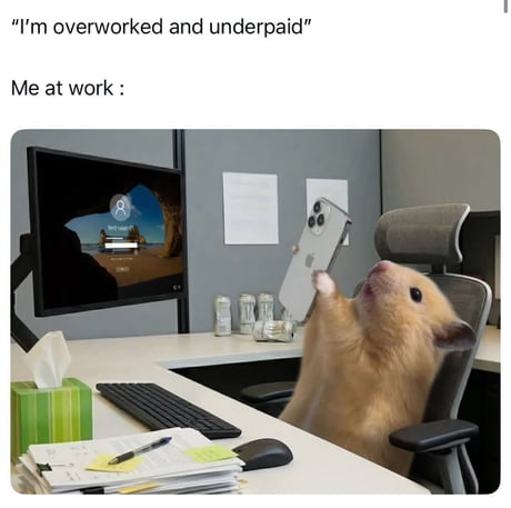 Best Funny slacking Memes - 9GAG