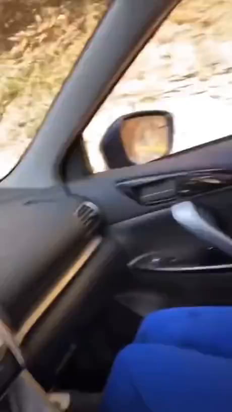 Not the best road trip.