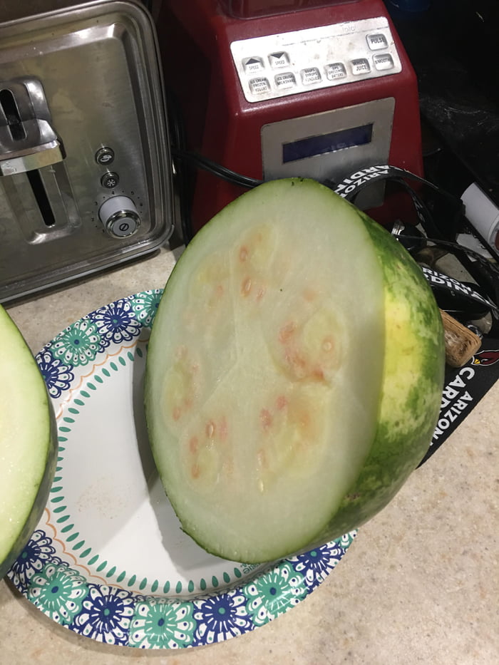 What kind of watermelon is this? F-you grocery store.