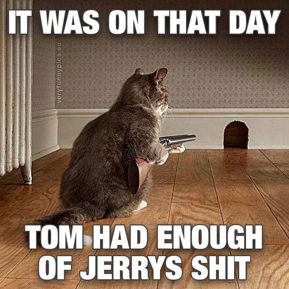 I'm sick of your shit, jerry