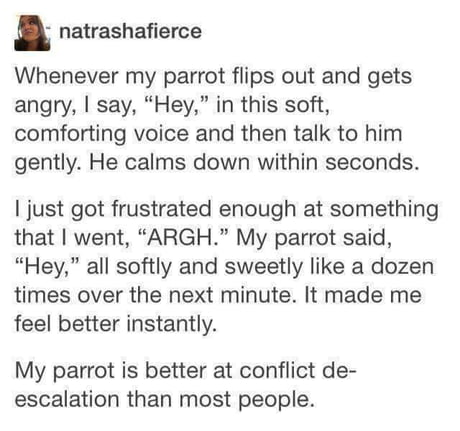 Well that&#039;s adorable