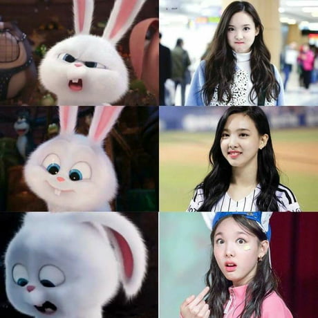 Image result for bunny nayeon