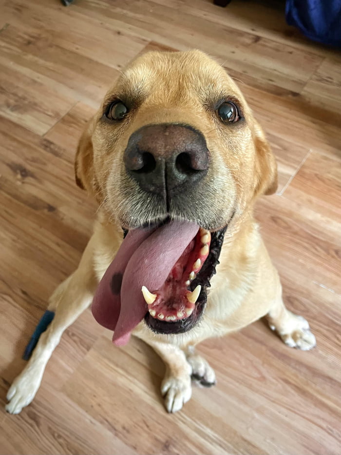 Take the bins out and this is the face that greets you when you’re back