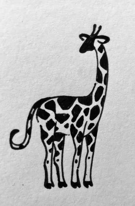 Drawing Giraffe | TikTok