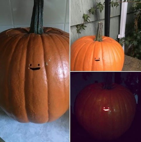 Pumpi, The nights terror