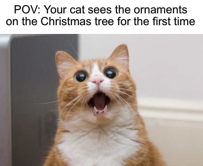 BeLl JiNgLe bElL jInGlE 9GAG