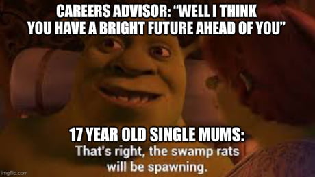 Nice Shrek meme - 9GAG