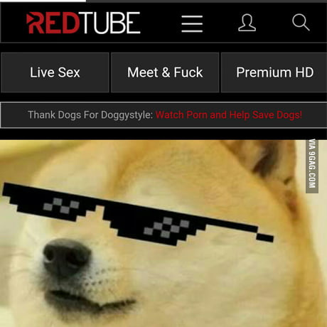Doge Meme Porn - Thank the doge. Much porn, such wow! - 9GAG