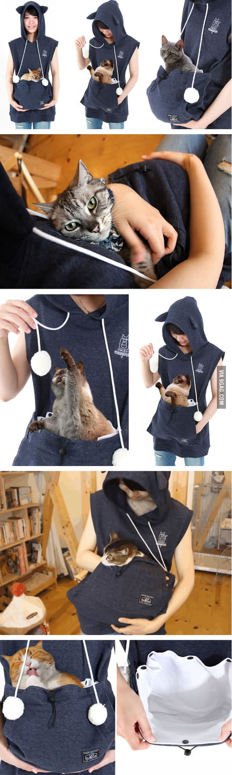 cat kangaroo pouch