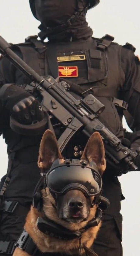 K9 commando hot sale