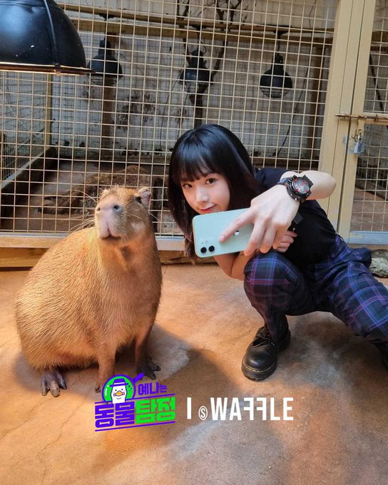 Photo : Yena and capibara