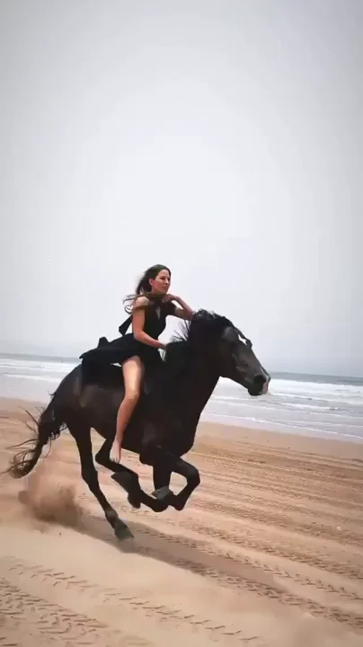 Girl bareback riding black beast on the beach - 9GAG