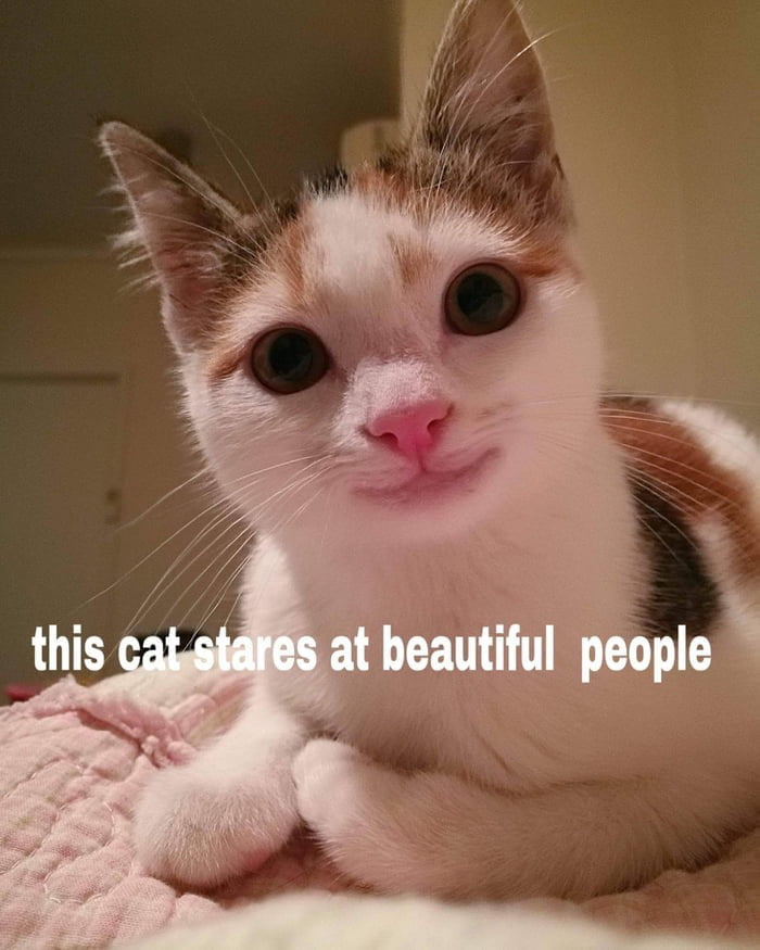 Hello there...
