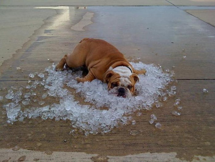 When it gets over 40c&deg; (104F) :<..