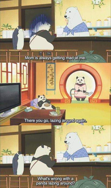 Anime Polar Bear Cafe 9gag