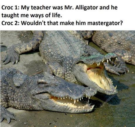 See You Later Alligator 9gag