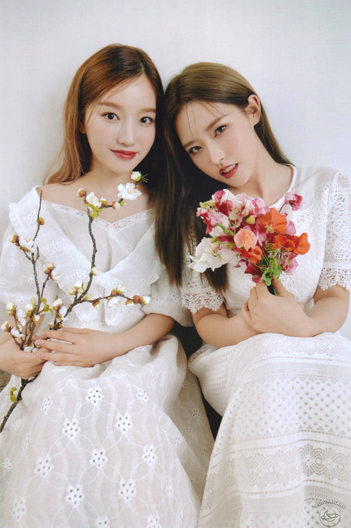 Photo : Gowon & Olivia Hye