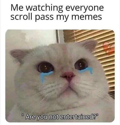 Have A Good Afternoon Everyone 9gag