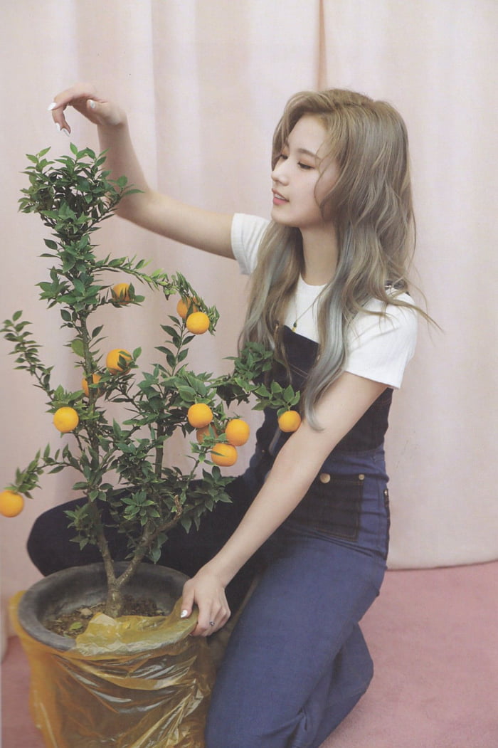 Photo : Sana
