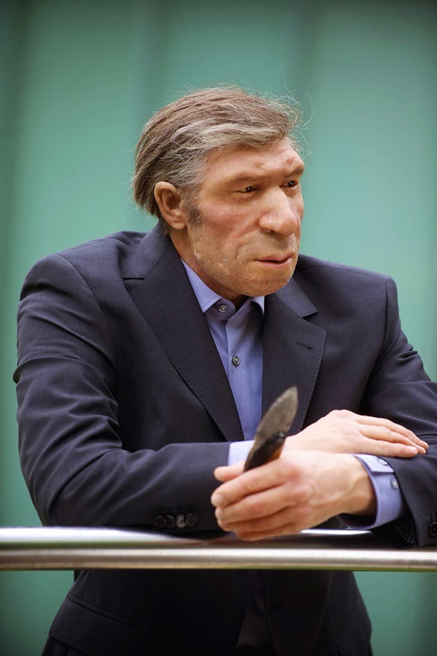 A Neanderthal man in a modern suit and tie. German museum exhibit