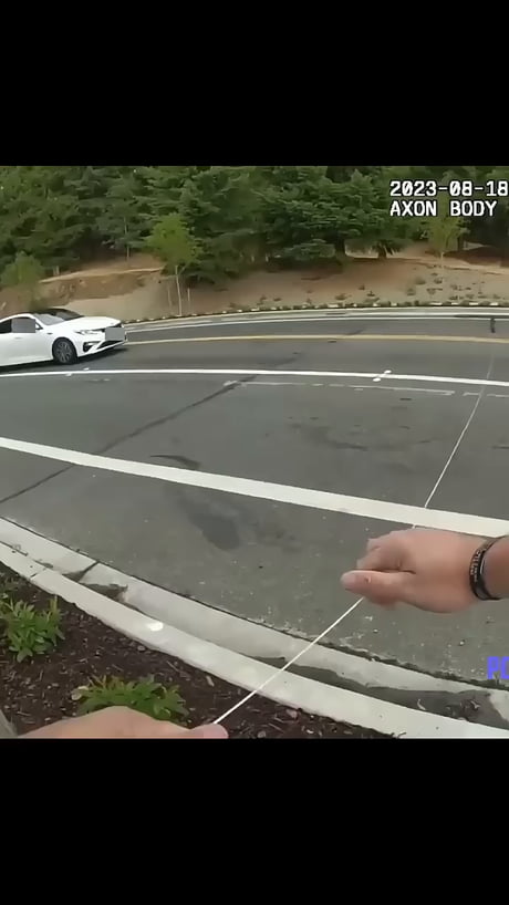 Work like a k9, not hard