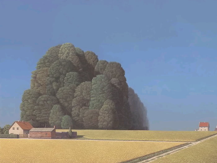 I've been having strange, recurring dreams about a place like this. A field with some enormous trees. I feel fear and a sense of danger when I look at the trees.