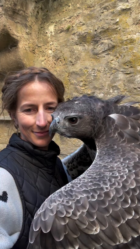 New bucket list: Snuggling with a raptor