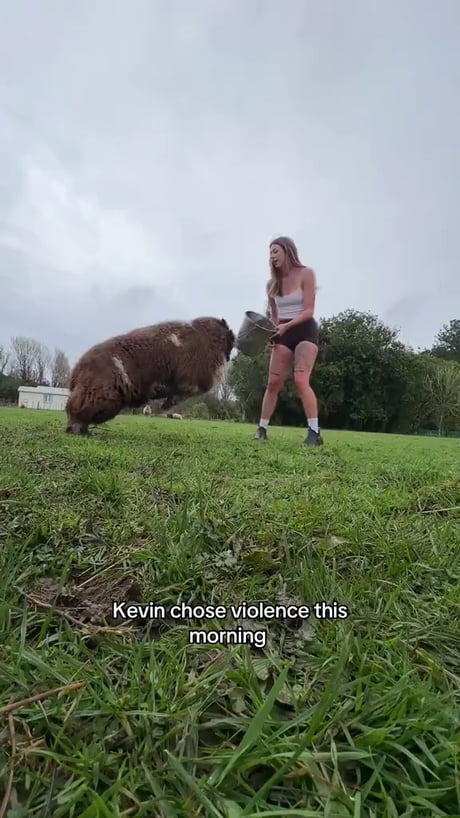 I think I understand Kevin