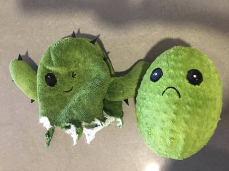 dog toy with smaller toy inside