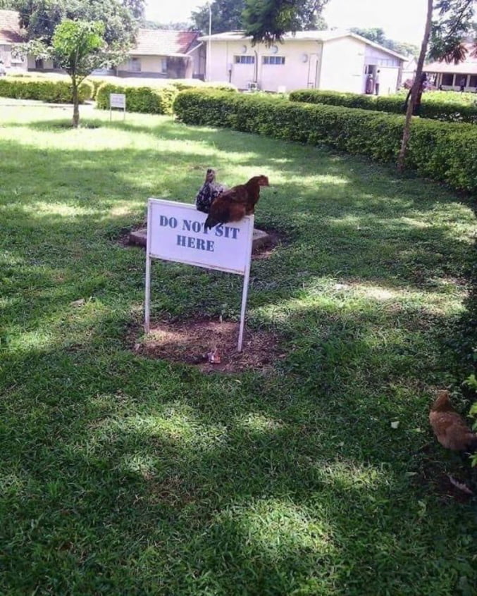 Thug chicks