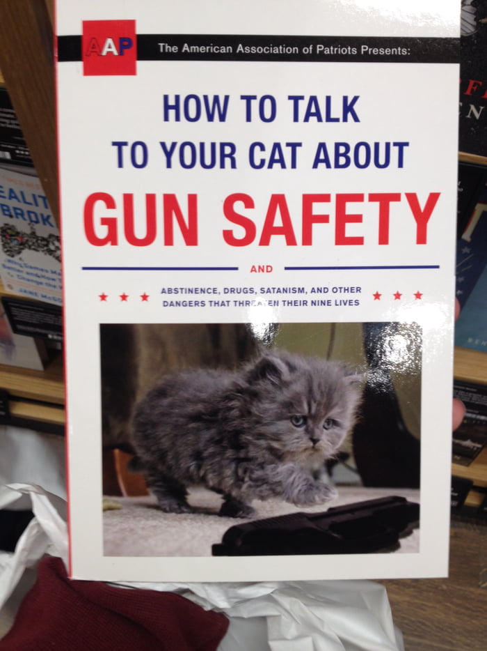 Don't let guns fall into the wrong hands