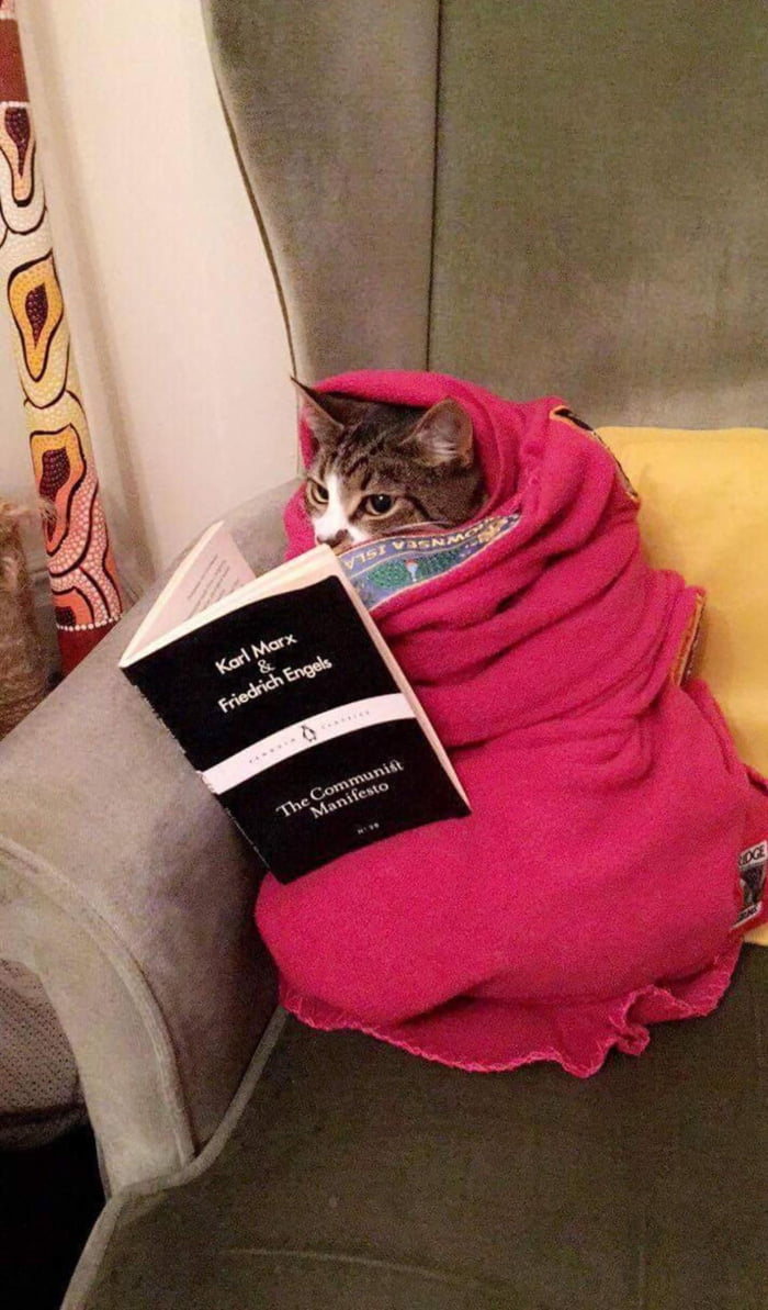 Nothing to see here. Move along.