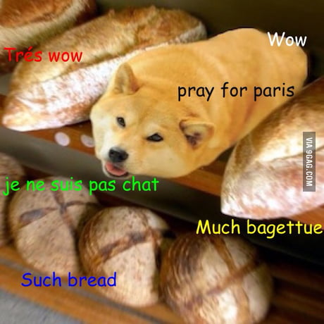 A Rare French Doge Meme 9gag
