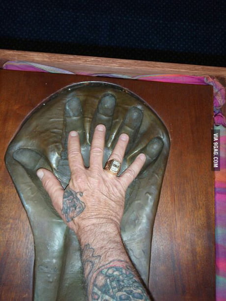 Andre The Giant S Hand Compared To An Average Man S Hand 9gag