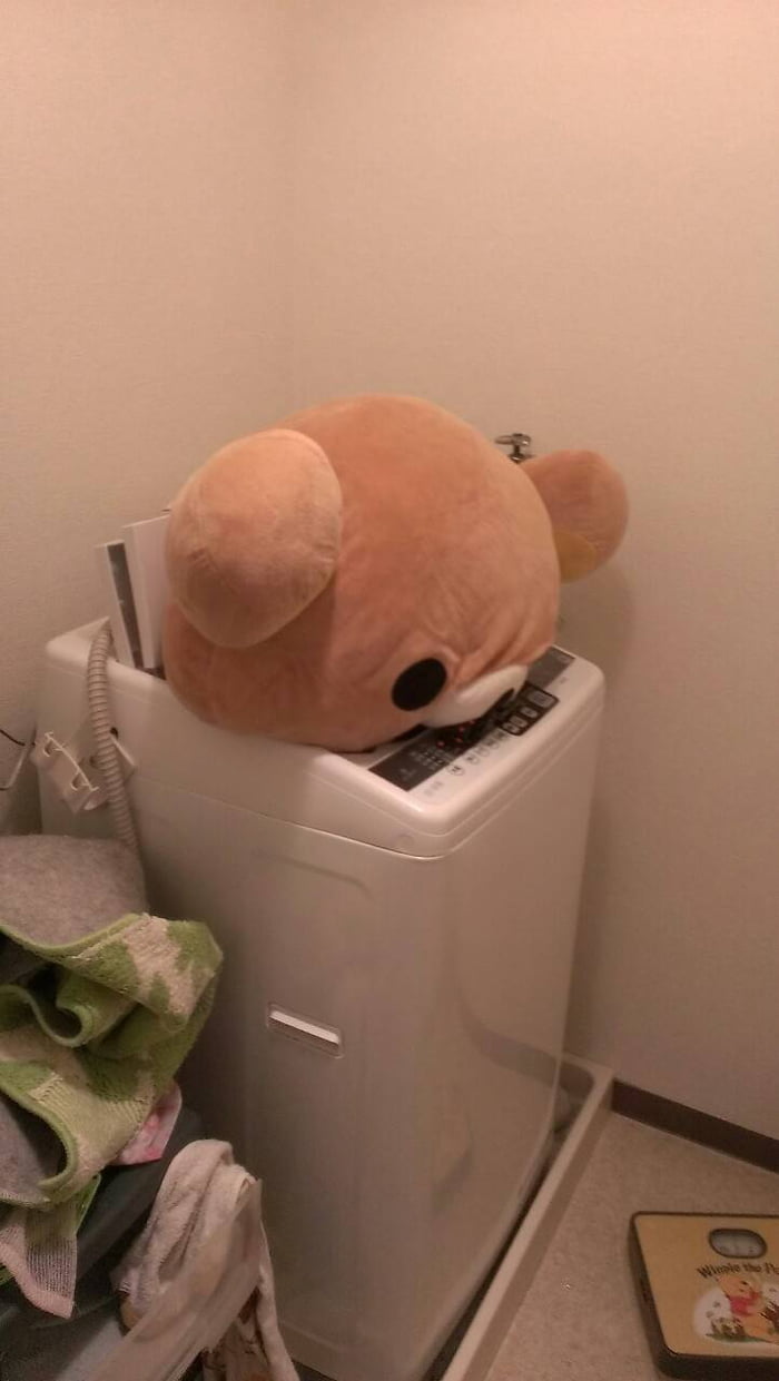 In Japan, People Are Making An Attempt To Wash Their Plushies And These