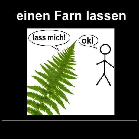 große monstera pflanze kaufen Monstera Deliciosa XXL, 120cm – vielgrün main image 0