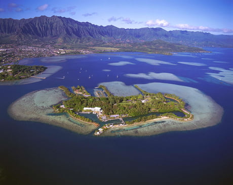 The Hawaii Institute Of Marine Biology is located on a small island surrounded by a coral reef